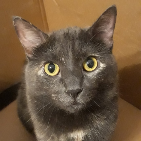 Meet the Posher Other - Meet your Posher, Lori